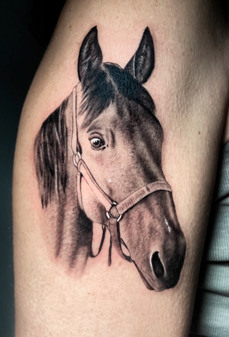 tattoo-realismo-caballo-alpedrete